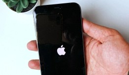 iphone白苹果什么原因(苹果白苹果了启动不了)